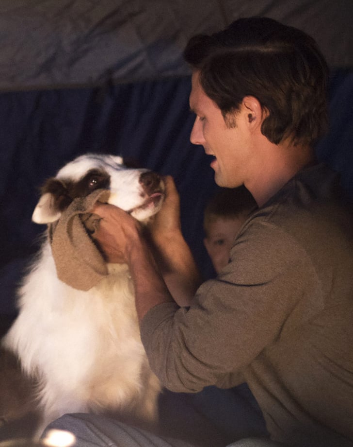 The Stray Dog Movies on Netflix You Can Watch Right Now POPSUGAR