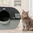 Tired of Scooping Up Litter? Gift Your Cat (and Yourself) a Self-Cleaning Litter Box