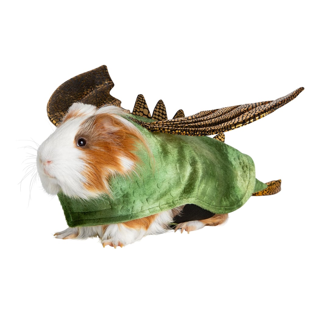 Thrills & Chills Small Pet Costume — Dinosaur