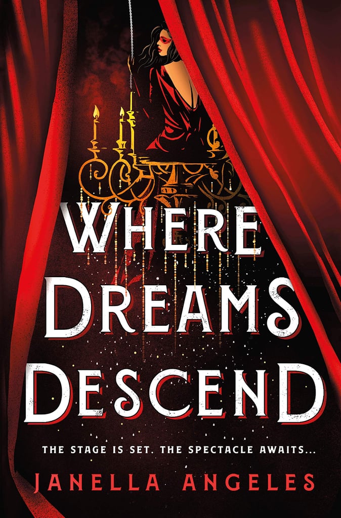 where dreams descend a novel