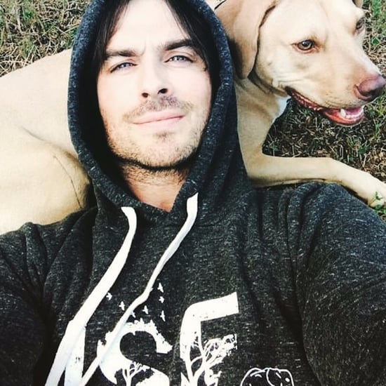 Hot Celebrities With Their Dogs