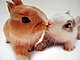 bunnychick bunnychick
