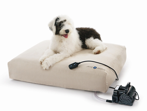sleep number dog bed
