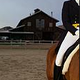 Dressage-Queen