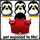 Penguin091507 Penguin091507