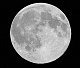 moonlite moonlite