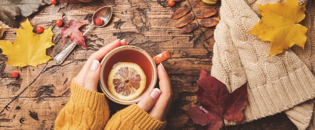 Practice Self-Care This Fall With These Tasty Teas