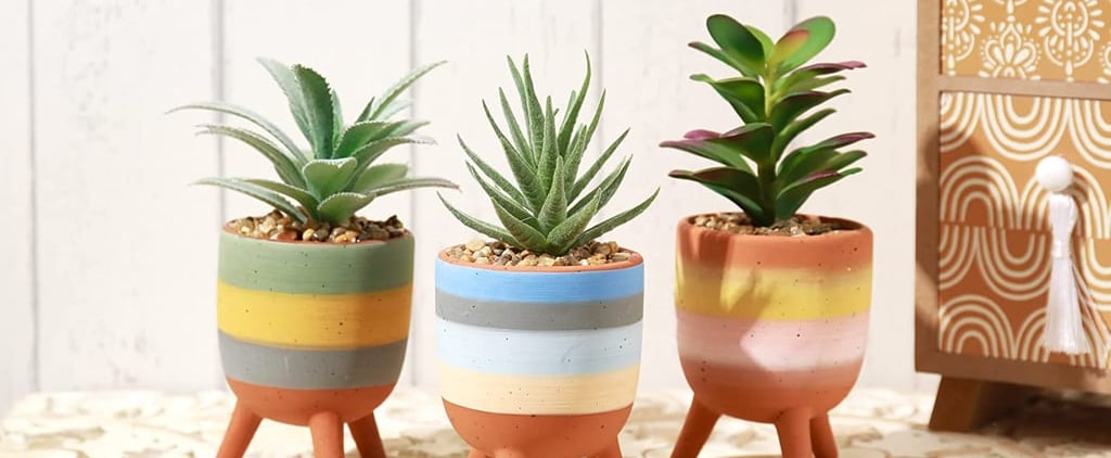 Faux Succulents on Amazon That Add Greenery Without the Maintenance