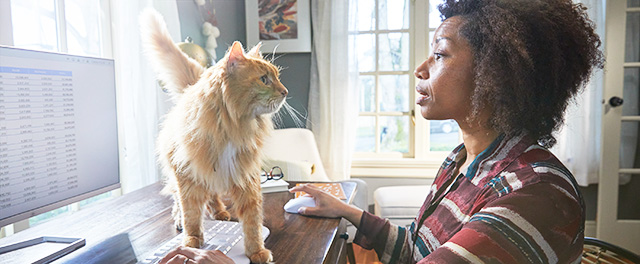 Stella & Chewy's Has Raw and Natural Pet Food Made Just For Your Cats