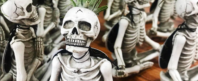 Trader Joe's Is Selling $6 Yoga Skeleton Air Plants For Halloween, and They're Chill to the Bone