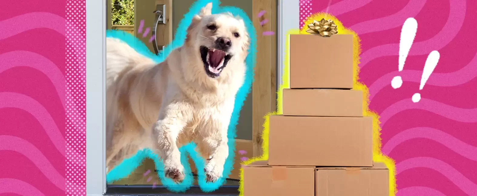 The Best Amazon Prime Day Deals For Pet Parents