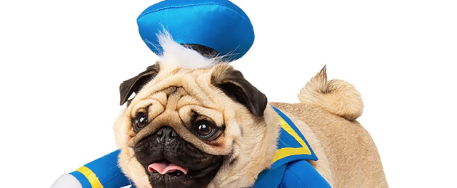 The Disney Store Is Selling Pet Costumes, and We Have a New Screen Saver