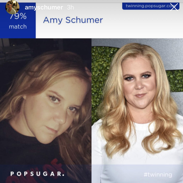 Find Your Celebrity Look-Alike