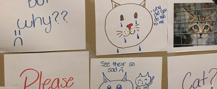 You'll LOL at the "Wall of Sorrow" 1 Girl Made to Guilt Her Dad Into Getting a Cat